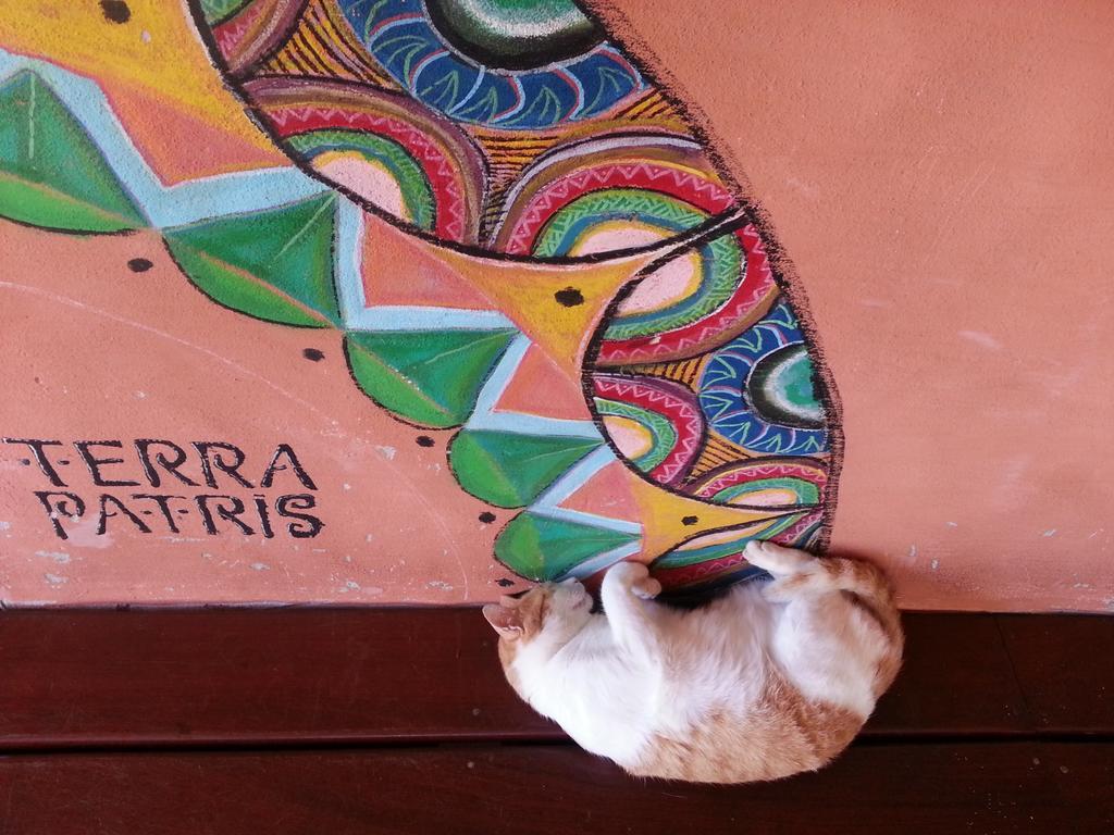 Terra Patris Hotell Barra Grande  Exteriör bild